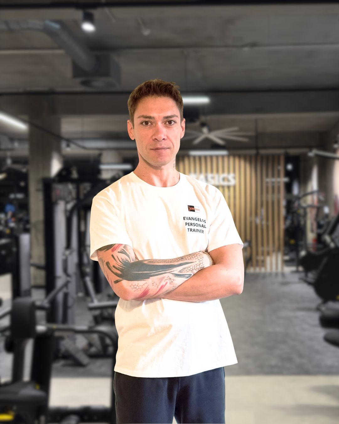 Evangelos – ENFORM